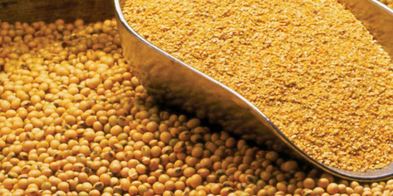 Soyabean-Meal-for-Animal-Feeds-south-africa