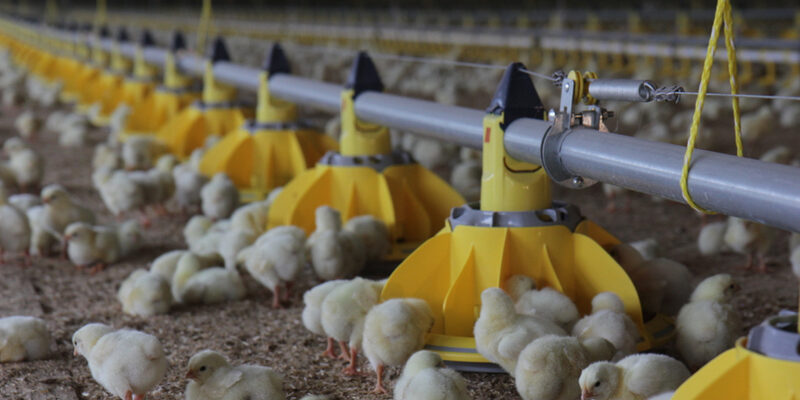 vue intérieure serrée